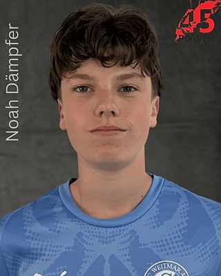 Noah Tjark Dämpfer
