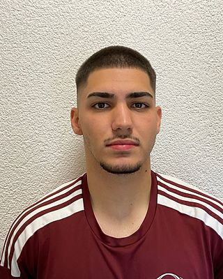 Alexandru Vicentiu Stoican