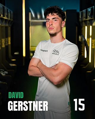 David Gerstner