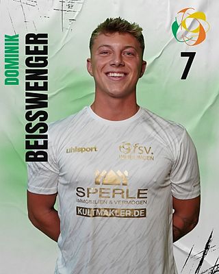Dominik Beisswenger