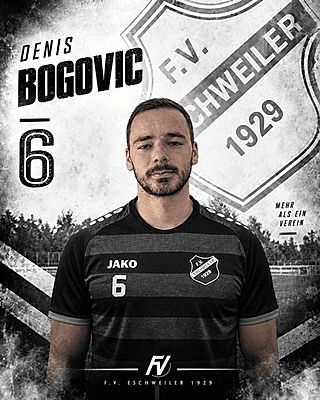 Denis Bogovic