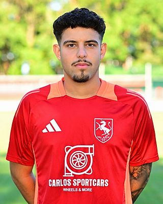 Arda Ogultekin