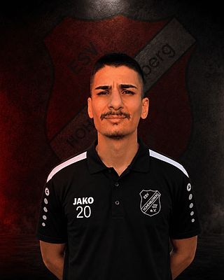 Aydin Türkeli