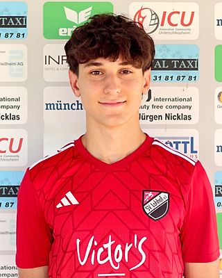 Tarik Babic