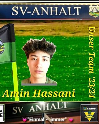 Amin Hassani