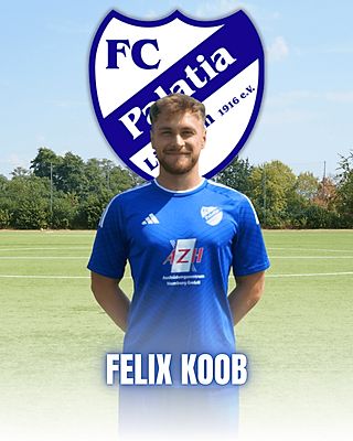 Felix Koob