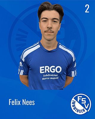 Felix Nees