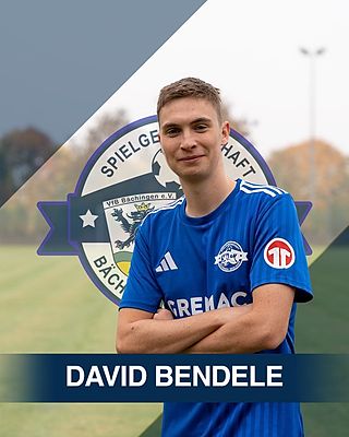 David Bendele