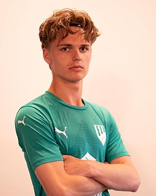 Mio Steingaesser