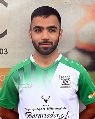 Mohammadreza Daneshjoo