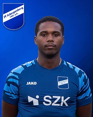 Folarin Ibigoni Williams