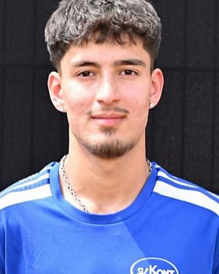 Mohammad Hossein Alavi