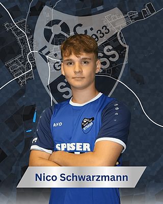 Nico Schwarzmann
