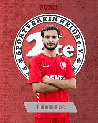 Elmedin Bicic