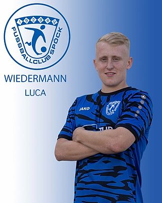 Luca Wiedermann