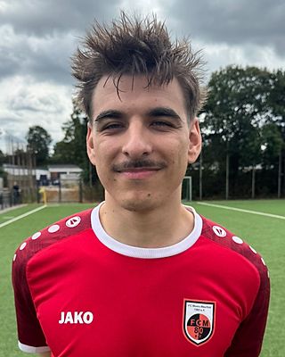 Jan David Prednik
