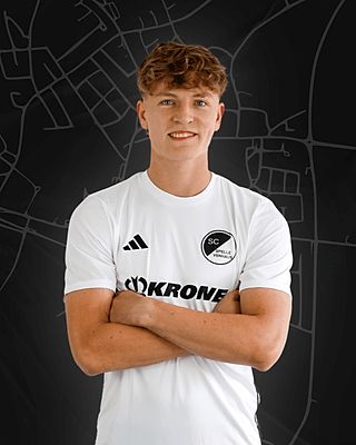 Niklas Harms-Ensink