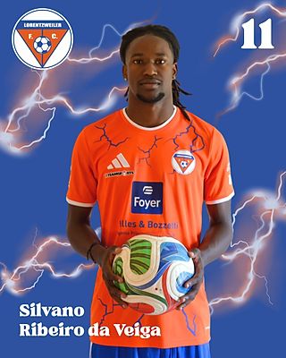 Silvano Ribeiro Da Veiga