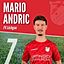 Mario Andric