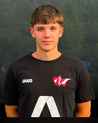 Justin Schmidt