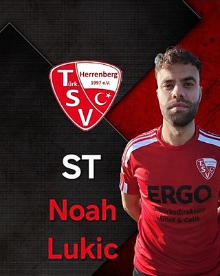 Noah Lukic