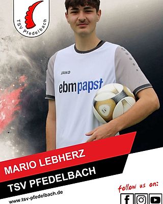 Mario Lebherz