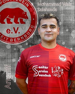 Mohammad Wais Salehzada