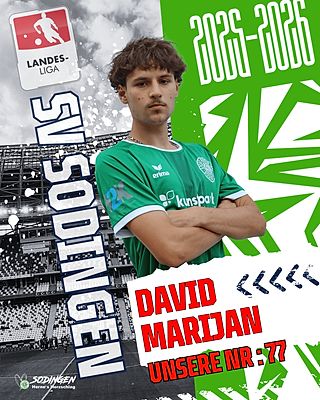 David Marijan
