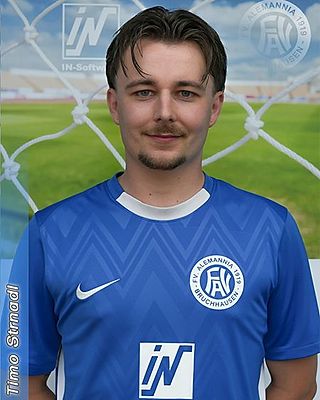 Timo Strnadl