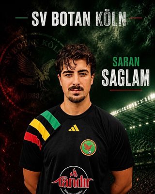 Veli Saran Saglam