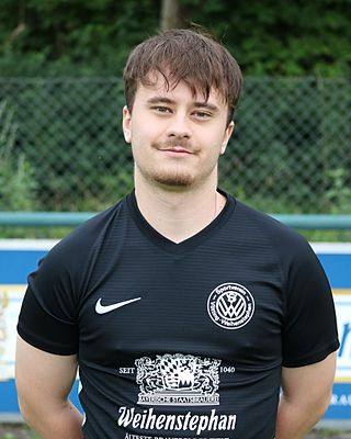 Friedrich Wildgruber