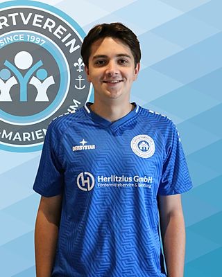 Niklas-Alexander Wolkow