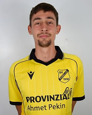 Jan Schoenen