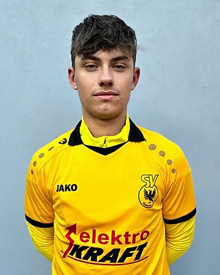 Hugo Wagner