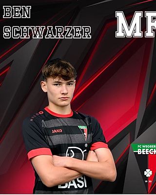 Ben Julian Schwarzer