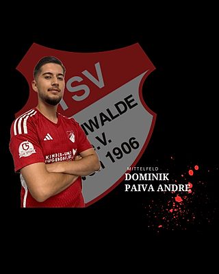Dominik Pavia Andre