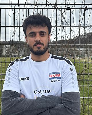 Raman Hussein