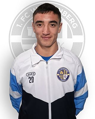 Stanislav Burduja