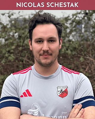 Nicolas Schestak
