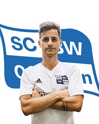 Felipe Borges Campos