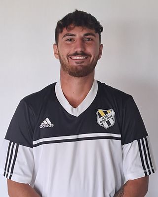 Lion Nikolić