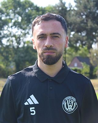 Ismail Hamzaoglu