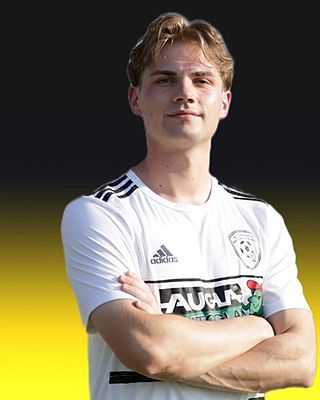 Henrik Meyer-Stoll