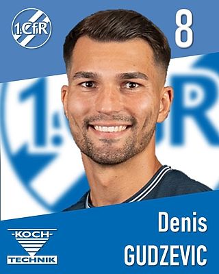 Denis Gudzevic