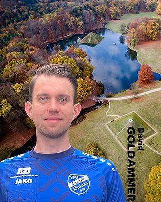 David Goldammer