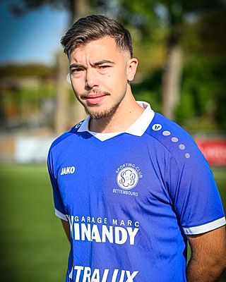 Pedro Mendes Alves