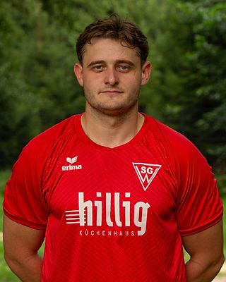 Niclas Herm-Meyer