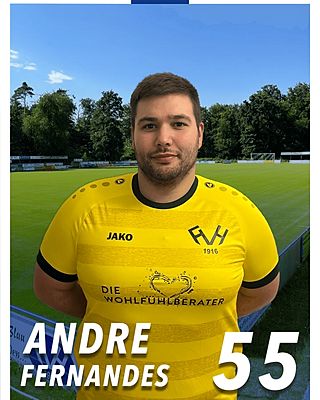 Andre Fernandes da Silva