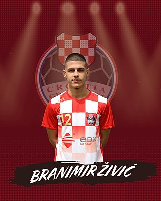 Branimir Zivic