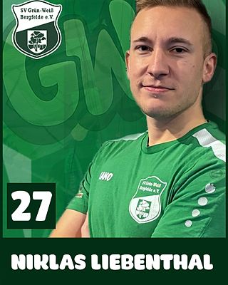 Niklas Liebenthal